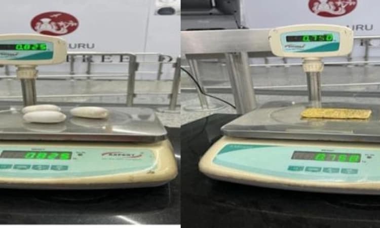 Mangaluru Airport; ಗುದನಾಳದಲ್ಲಿ ಬಚ್ಚಿಟ್ಟ 54 ಲಕ್ಷ ರೂ. ಮೌಲ್ಯದ ಅಕ್ರಮ ಚಿನ್ನ ಪತ್ತೆ !