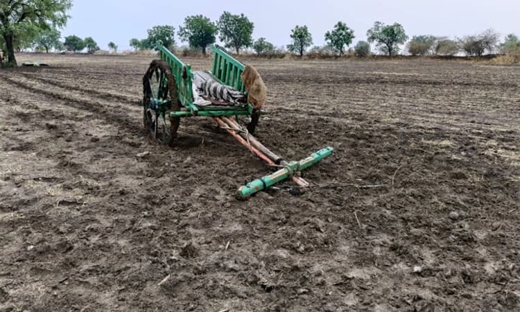 Kalaburagi; ಭಾರೀ ಮಳೆ: ಆಳಂದದಲ್ಲಿ ಸಿಡಿಲು ಬಡಿದು ಬಾಲಕ‌ ಸಾವು
