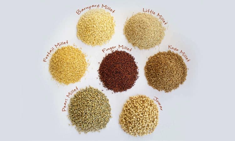Health: ಸಿರಿಧಾನ್ಯಗಳು: ಪುಟ್ಟ ಧಾನ್ಯಗಳಾದರೂ ಪೌಷ್ಟಿಕಾಂಶಗಳ ಗಣಿ