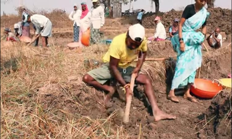 ನರೇಗಾದಡಿ ವಿಕಲಚೇತನರಿಗೂ ಕಾಯಕ