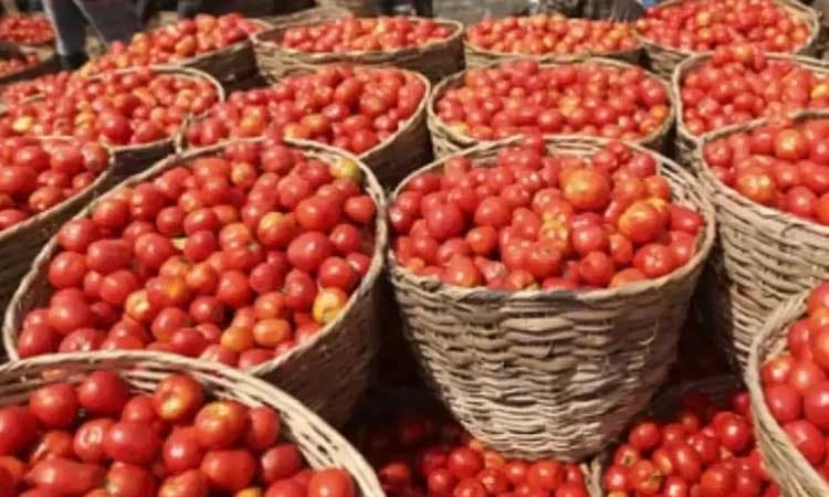 ಟೊಮೆಟೋ ದರ ಮತ್ತೆ ಏರಿಸಿದ ಮಳೆ