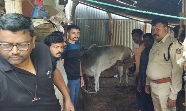 ಜಾನುವಾರು ವಧೆ ಆರೋಪ: ಇಬ್ಬರು ಪೊಲೀಸರ ವಶಕ್ಕೆ
