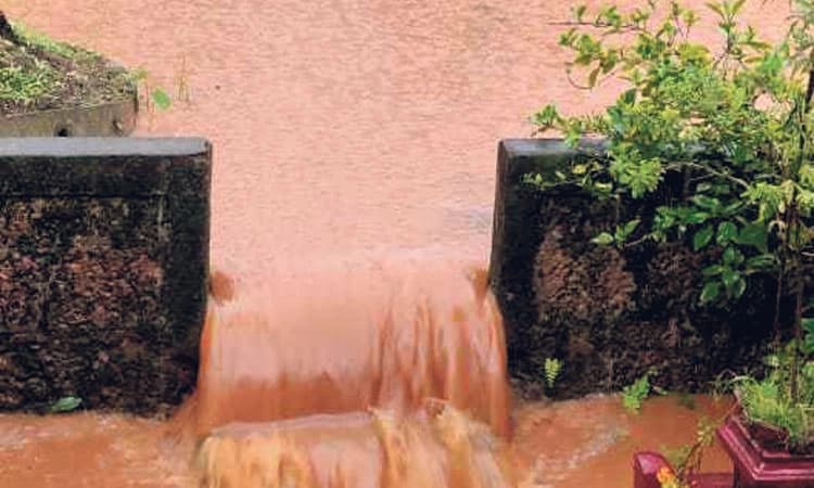 ದಕ್ಷಿಣ ಕನ್ನಡ ಜಿಲ್ಲೆಯಲ್ಲಿ ಬಿರುಸು ಪಡೆದ ಮಳೆ