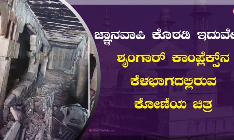 ಜ್ಞಾನವಾಪಿ ಕೊಠಡಿ ಇದುವೇ! ಶೃಂಗಾರ್‌ ಕಾಂಪ್ಲೆಕ್ಸ್‌ನ ಕೆಳಭಾಗದಲ್ಲಿರುವ ಕೋಣೆಯ ಚಿತ್ರ