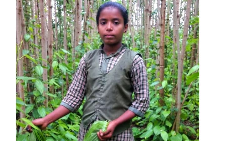 ವೀಳ್ಯದೆಲೆಯೊಂದಿಗೆ ಅಂಕಗಳನ್ನು ಕಟ್ಟಿದ ದೀಪಾ