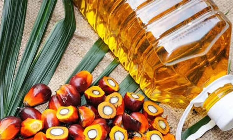 ತಾಳೆ ಎಣ್ಣೆ ರಫ್ತು ನಿಷೇಧ ತೆರವಿಗೆ ಇಂಡೋನೇಷ್ಯಾ ನಿರ್ಧಾರ: ಬೆಲೆ ಇಳಿಕೆ ಸಾಧ್ಯತೆ