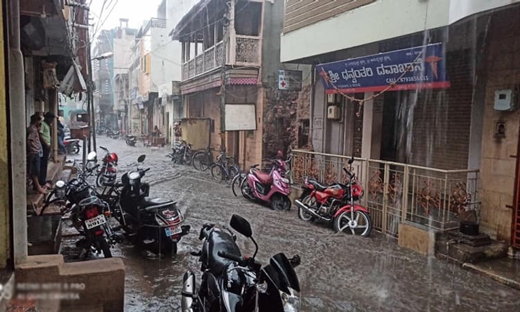 ತಾಲೂಕಿನಲ್ಲಿ ಉತ್ತಮ ಮಳೆ : ಹರ್ಷಗೊಂಡ ರೈತಾಪಿ ಜನ