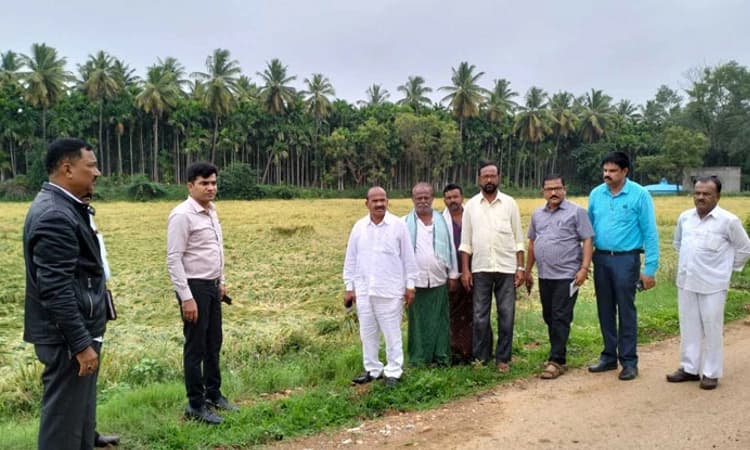 ವರುಣನ ಅಬ್ಬರಕ್ಕೆ ಅಪಾರ ಬೆಳೆ ಹಾನಿ