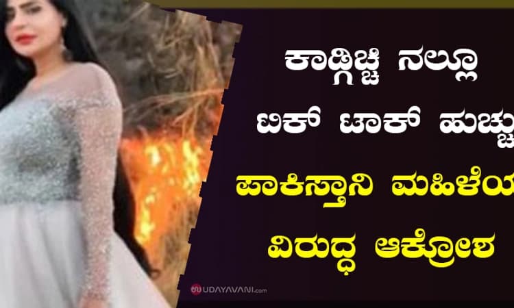 ಕಾಡ್ಗಿಚ್ಚಿ ನಲ್ಲೂ ಟಿಕ್ ಟಾಕ್ ಹುಚ್ಚು!; ಪಾಕಿಸ್ತಾನಿ ಮಹಿಳೆಯ ವಿರುದ್ಧ ಆಕ್ರೋಶ