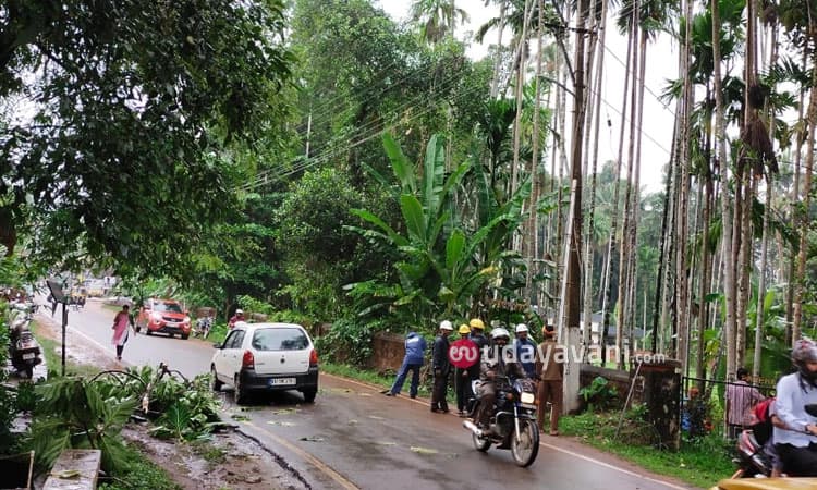 ವಿಟ್ಲ: ರಸ್ತೆಗೆ ಬಿದ್ದ ವಿದ್ಯುತ್ ಕಂಬ: ಸಂಚಾರ ಅಸ್ತವ್ಯಸ್ತ