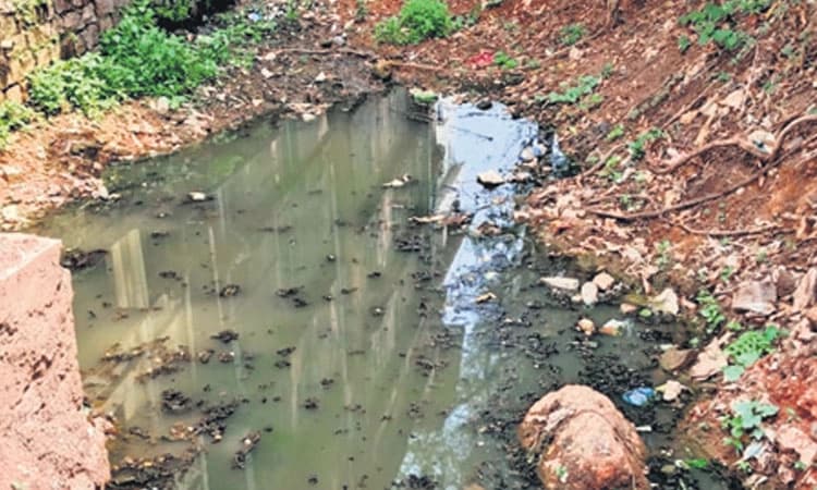 ಕುತ್ಪಾಡಿ: ವಾಣಿಜ್ಯ ಕಟ್ಟಡಗಳ ಡ್ರೈನೇಜ್‌ ನೀರು, ತ್ಯಾಜ್ಯ ತೋಡಿಗೆ