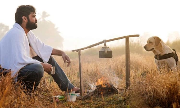 ‘777 ಚಾರ್ಲಿ’…. ಮನಮುಟ್ಟುವ ಅನುಬಂಧ ಅನಾವರಣ