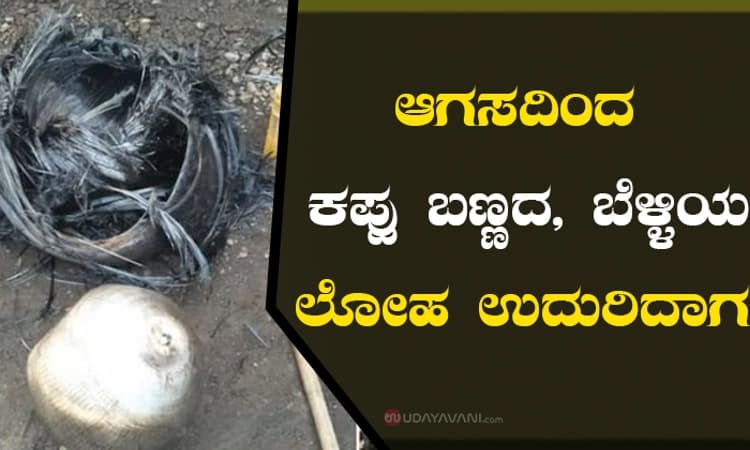 ಆಗಸದಿಂದ ಕಪ್ಪು ಬಣ್ಣದ, ಬೆಳ್ಳಿಯ ಲೋಹ ಉದುರಿದಾಗ!