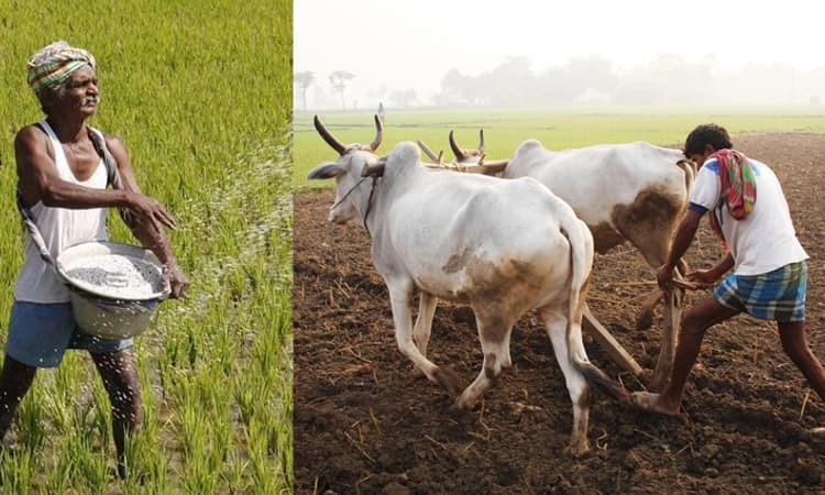 ರೈತ ಆರ್ಥಿಕವಾಗಿ ಸದೃಢನಾದರೆ ಮಾತ್ರ ಭಾರತ ಆತ್ಮನಿರ್ಭರ