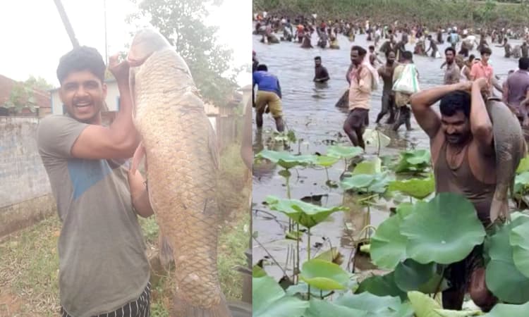 ಸೊರಬ: ನೋಡುಗರ ಕಣ್ಮನ ಸೆಳೆದ ಕೆರೆಬೇಟೆ ಹಬ್ಬ, ಗಮನ ಸೆಳೆದ ಭಾರಿ ಗಾತ್ರದ ಮೀನು