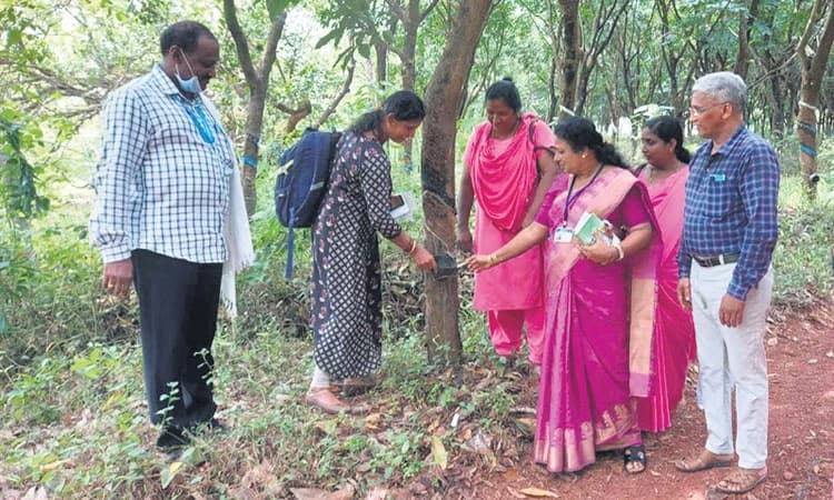 ಗ್ರಾ.ಪಂ. ಸಹಿತ ಆರೋಗ್ಯ ಇಲಾಖೆಗೆ ಸವಾಲಾದ ರೋಗ ಲಕ್ಷಣ