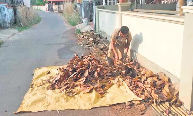 ಭರದಿಂದ ಸಾಗಿದೆ ಚರಂಡಿಗಳ ಹೂಳೆತ್ತುವ ಕಾರ್ಯ