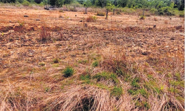 ಸೂರಿಲ್ಲದವರಿಗೆ ಮಾದರಿ ಸಮುಚ್ಛಯ