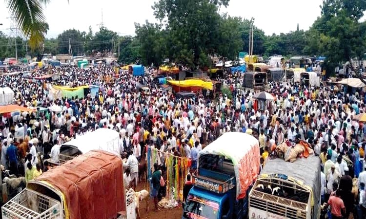 ಕುರಿ-ಟಗರು ಸಂತೆಯಲ್ಲಿ ವಹಿವಾಟು ಜೋರು