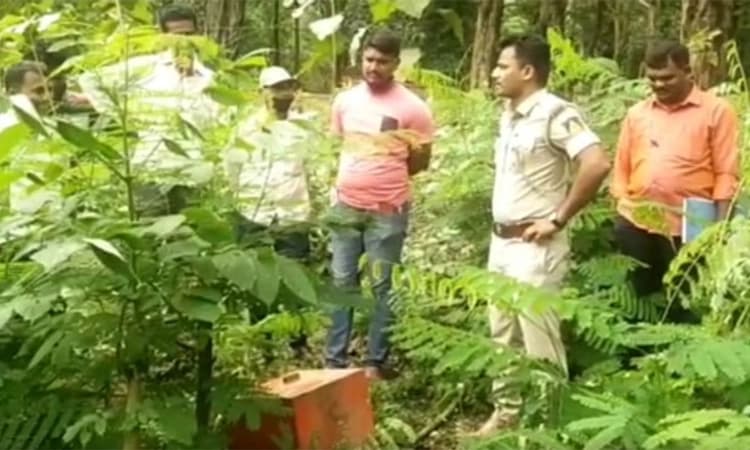 ದಾಂಡೇಲಿ: ದೇವಸ್ಥಾನದ ಹುಂಡಿ ಕಳ್ಳತನಕ್ಕೆ ಯತ್ನ