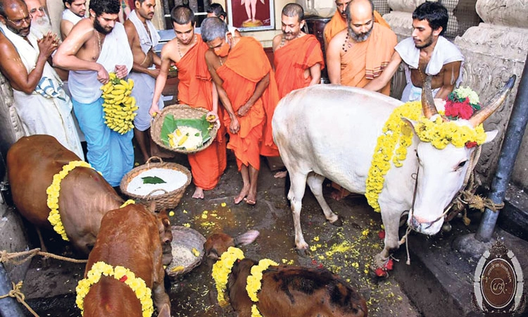 ಕರಾವಳಿಯಾದ್ಯಂತ ಭಕ್ತಿ ಸಂಭ್ರಮದ ಗೋಪೂಜೆ