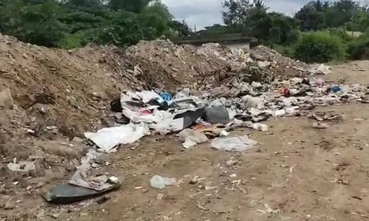 ರಸ್ತೆ ಪಕ್ಕದಲ್ಲೇ ತ್ಯಾಜ್ಯ: ಶಿವಮೊಗ್ಗ ಮಹಾನಗರ ಪಾಲಿಕೆ ನಿರ್ಲಕ್ಷ್ಯಕ್ಕೆ ಜಾನುವಾರುಗಳು ಬಲಿ