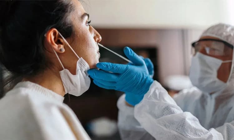 ದ. ಕ. ಜಿಲ್ಲೆ: 24 ಮಂದಿಗೆ ಕೋವಿಡ್‌ ಸೋಂಕು