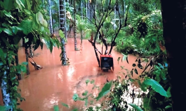 ಸುಳ್ಯ, ಪುತ್ತೂರು, ಬೆಳ್ತಂಗಡಿಯಲ್ಲಿ ಉತ್ತಮ ಮಳೆ