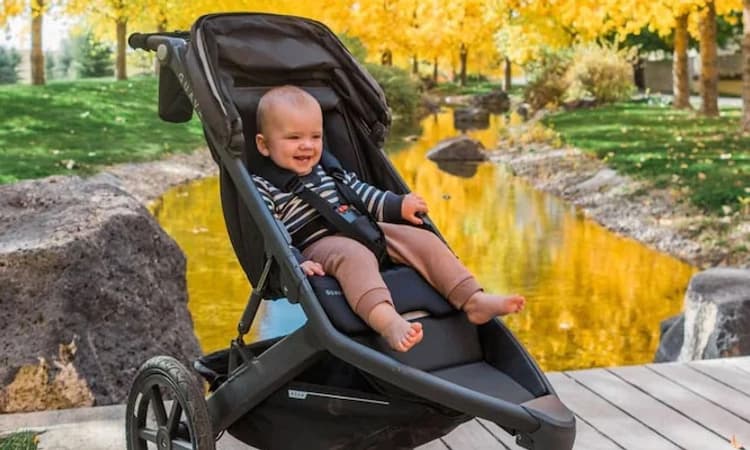 ತಿಂಗಳಿಗೆ 75 ಸಾವಿರ ರೂ. ದುಡಿಯುತ್ತಿದೆ ಒಂದು ವರ್ಷದ ಮಗು! ಹೇಗೆ ಗೊತ್ತಾ?