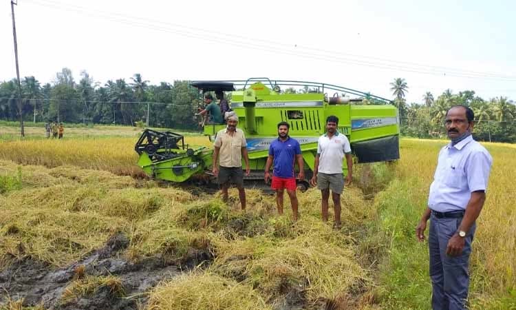 ಕಟಪಾಡಿ : ಭತ್ತ ಕಟಾವು ಯಂತ್ರ ಗಂಟೆಗೆ 2500 ರೂ : ಬೇಸತ್ತ ರೈತರು