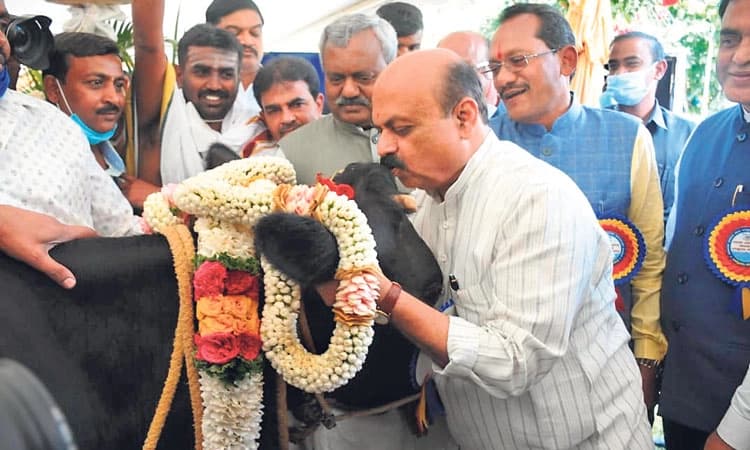 ಹಾಲು ಉತ್ಪಾದಕರಿಗಾಗಿ ಬ್ಯಾಂಕ್‌: ಮುಖ್ಯಮಂತ್ರಿ ಬಸವರಾಜ ಬೊಮ್ಮಾಯಿ ಸಲಹೆ