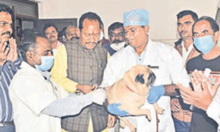 ಶ್ವಾನಗಳಿಗೆ ರೇಬಿಸ್‌ ಲಸಿಕೆ ಹಾಕಿಸಿ: ಚವ್ಹಾಣ