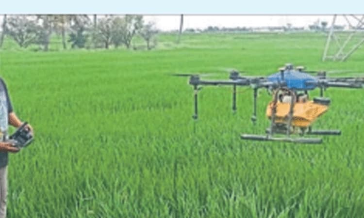 ಭತ್ತಕ್ಕೆ ಕ್ರಿಮಿನಾಶಕ ಸಿಂಪಡಣೆಗೆ ಡ್ರೋಣ್‌ ಬಳಕೆ!