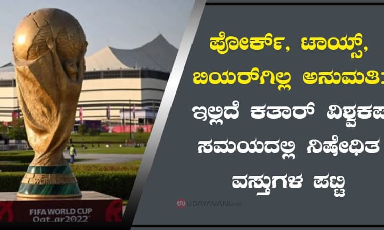 ಪೋರ್ಕ್, ಟಾಯ್ಸ್, ಬಿಯರ್ ಗಿಲ್ಲ ಅನುಮತಿ: ಇಲ್ಲಿದೆ ಕತಾರ್ ವಿಶ್ವಕಪ್ ಸಮಯದಲ್ಲಿ ನಿಷೇಧಿತ ವಸ್ತುಗಳ ಪಟ್ಟಿ