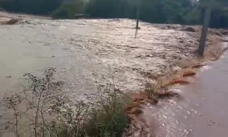 ಕೆರೆಯ ಏರಿಯಲ್ಲಿ ಬಿರುಕು: ದುರಸ್ತಿ ವೇಳೆ ಅವಘಡ; ಅಪಾರ ಪ್ರಮಾಣದ ಫಸಲು ಹಾನಿ