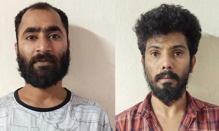 ಮಂಗಳೂರು: ಬೃಹತ್ ಪ್ರಮಾಣದ ಗಾಂಜಾ ಪತ್ತೆ; ಇಬ್ಬರು ಆರೋಪಿಗಳು ಸೆರೆ