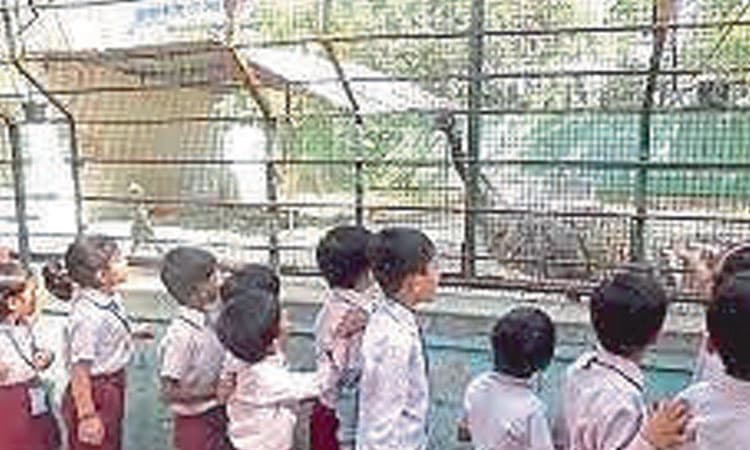 ಮಕ್ಕಳ ಶೈಕ್ಷಣಿಕ ಪ್ರವಾಸಕ್ಕೆ ಸರ್ಕಾರ ಸಮ್ಮತಿ