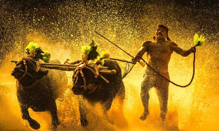 ಪ್ರವಾಸೋದ್ಯಮ ನೀತಿಯಲ್ಲಿ ಕಂಬಳ : ಕೇಂದ್ರ ಸಚಿವರ ಭರವಸೆ