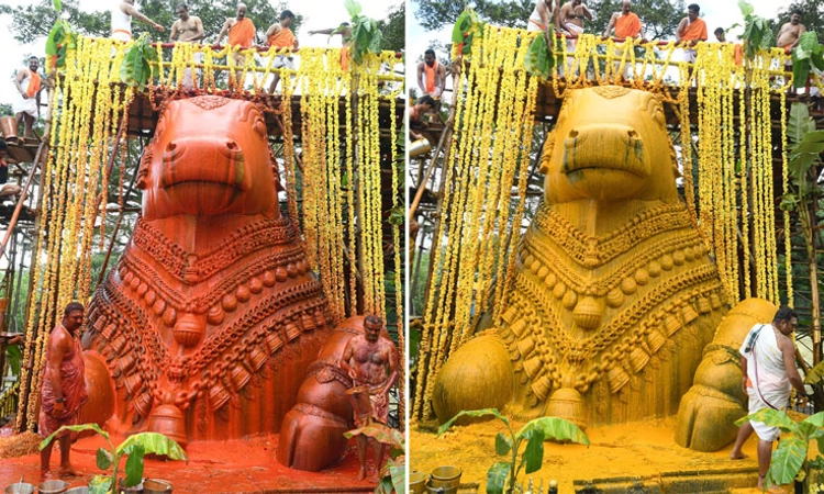 ಮೈಸೂರು ಚಾಮುಂಡಿ ಬೆಟ್ಟದ ಮಹಾನಂದಿಗೆ ಮಹಾಭಿಷೇಕ