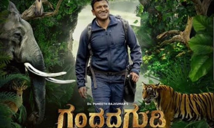 ಮಹಾಲಿಂಗಪುರ: ನಾಳೆಯಿಂದ ನವೆಂಬರ್ 17 ರವರೆಗೆ ಗಂಧದಗುಡಿ ಚಿತ್ರದ ಉಚಿತ ಪ್ರದರ್ಶನ