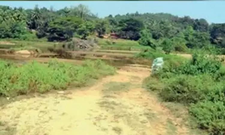 ಸೌಡ ಸೇತುವೆ ಕಾಮಗಾರಿ ನಾಳೆ ಆರಂಭ