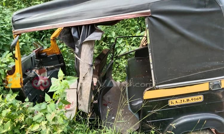 ಕಡಬ: ಆಟೋ ರಿಕ್ಷಾ-ಪಿಕಪ್ ಢಿಕ್ಕಿ; 4 ವರ್ಷದ ಬಾಲಕ ಮೃತ್ಯು