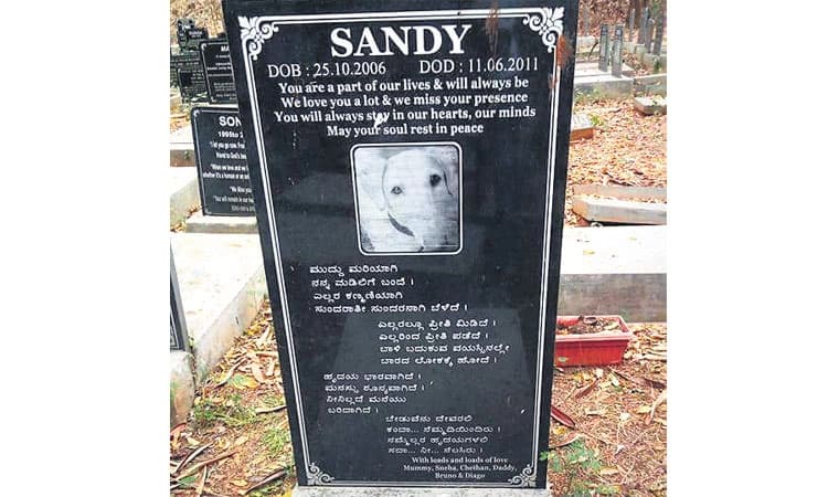 ಪ್ರಾಣಿಗಳ ಶವ ಸಂಸ್ಕಾರಕ್ಕೆ ಶ್ಮಶಾನವೇ ಇಲ್ಲ ! ; ಪ್ರಧಾನಿ ಕಚೇರಿಗೆ ಮನವಿ ಮಾಡಿದರೂ ಫಲವಿಲ್ಲ