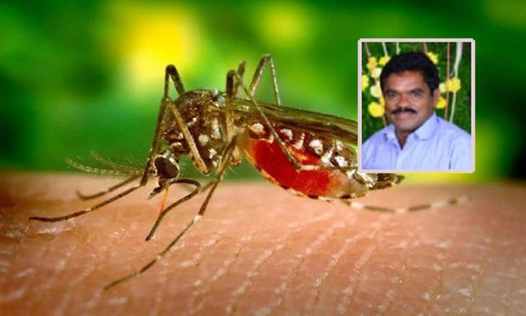 ಹುಣಸೂರು: 36 ಡೆಂಗ್ಯೂ,7 ಚಿಕುನ್‌ ಗುನ್ಯಾ ಪ್ರಕರಣ ಪತ್ತೆ; ಓರ್ವ ಬಲಿ
