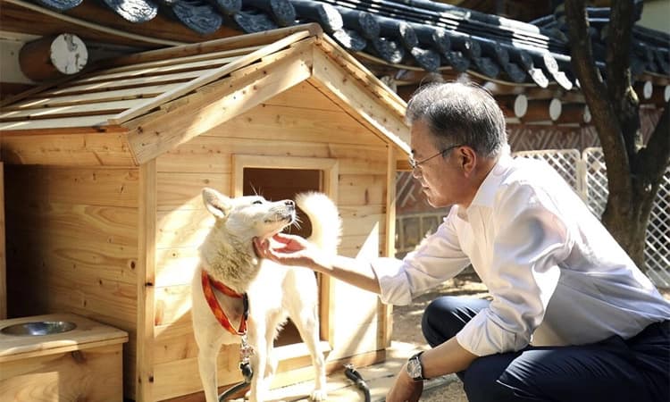 ಮಾಜಿ ಅಧ್ಯಕ್ಷರ ನಾಯಿ ಸಾಕುವ ಹೊಣೆ ಯಾರಿಗೆ? ದಕ್ಷಿಣ ಕೊರಿಯಾದಲ್ಲಿ ಎದ್ದಿದೆ ಹೊಸ ವಿವಾದ