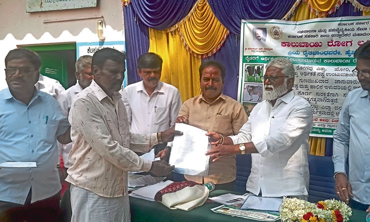 ಜಾನುವಾರುಗಳಿಗೆ ವಿಮೆ ಮಾಡಿಸಿ