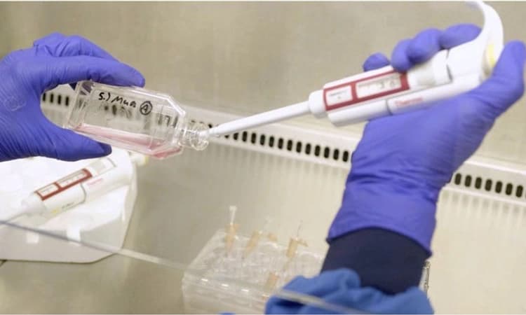 ಮಾನವನ ದೇಹಕ್ಕೆ ಪ್ರಯೋಗಾಲಯದಲ್ಲಿ ತಯಾರಿಸಿದ ರಕ್ತ ಕಣಗಳು!