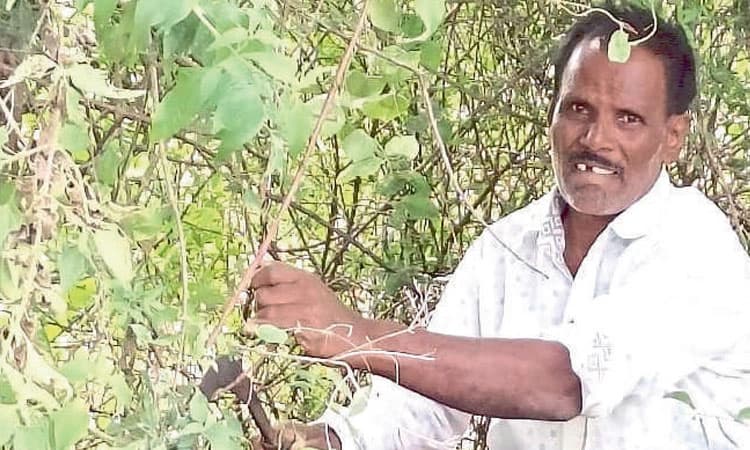 40 ವರ್ಷದಿಂದ ಉಚಿತ ನಾಟಿ ಔಷಧ ನೀಡುವುದೇ ಕಾಯಕ!