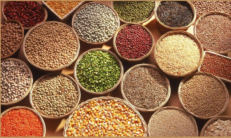 ಗ್ರಾವಿವಿಯಲ್ಲಿ ಸಿರಿ ಧಾನ್ಯ ಘಮಲು