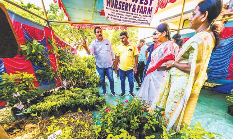 ಉಡುಪಿ: ಸಸ್ಯಸಂತೆಯಲ್ಲಿವೆ 10 ಸಾವಿರ ಸಸ್ಯಗಳು